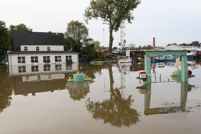 Nowa Sól - stan Odry na 23 września