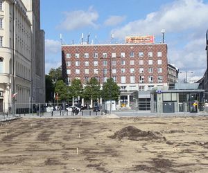 Zielona oaza na placu Powstańców Warszawy