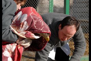 Uratowali zatrutego orła