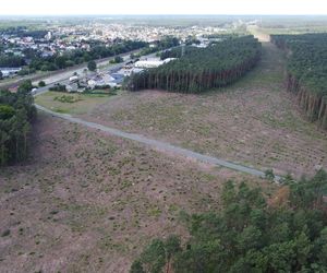 Droga ekspresowa S10 łącząca Bydgoszcz i Toruń coraz bliżej. Jest decyzja wojewody kujawsko-pomorskiego w sprawie budowy