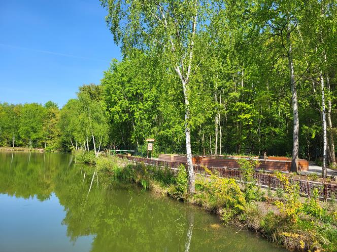 Kraków - Park Tetmajera