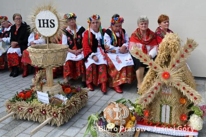 Jasnogórskie dożynki w poprzednich latach