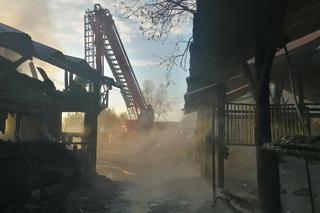 Tragiczny pożar w ośrodku jeździeckim. Dwa konie zginęły w płomieniach