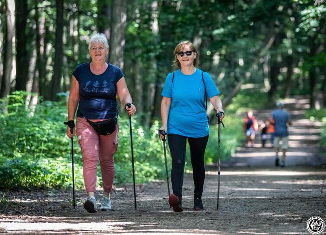 Parkrun Las Aniołowski w Częstochowie. Biegowa rekreacja na 5 kilometrach [ZDJĘCIA]