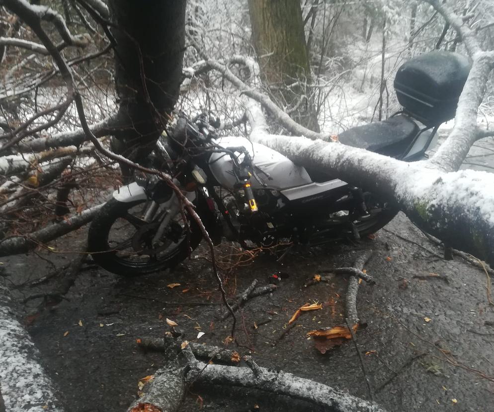 Sopotnia Mała: Na parę jadącą motorowerem spadło drzewo. Trafili do szpitala 