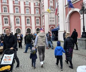 Miejskie obchody Dni Świętomarcińskich