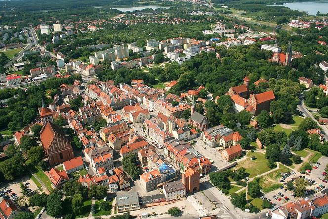 Olsztyn: Nowe drzewa na projektowanej linii tramwajowej. Będzie ich dwukrotnie więcej