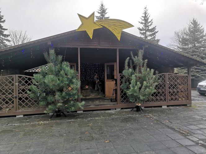 Żywa Szopka Bożonarodzeniowa w Śląskim Zoo