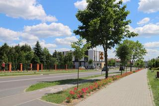 Co dalej z ulicą i szkołą imienia Jana Pawła II w Starachowicach? Jest odpowiedź 