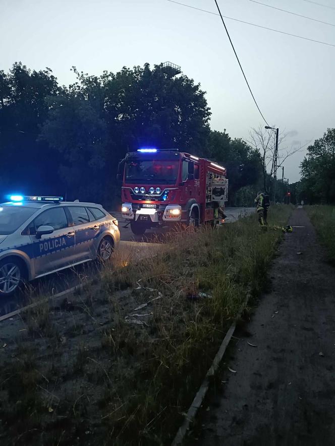 Sobotni pożar altany na ogródkach działkowych w Katowicach