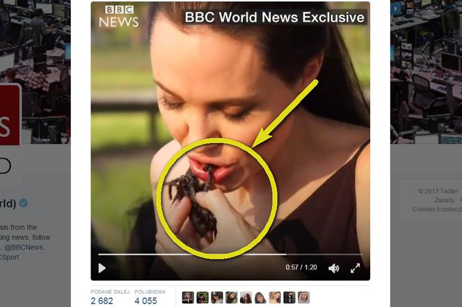 Angelina Jolie zjadła robaki