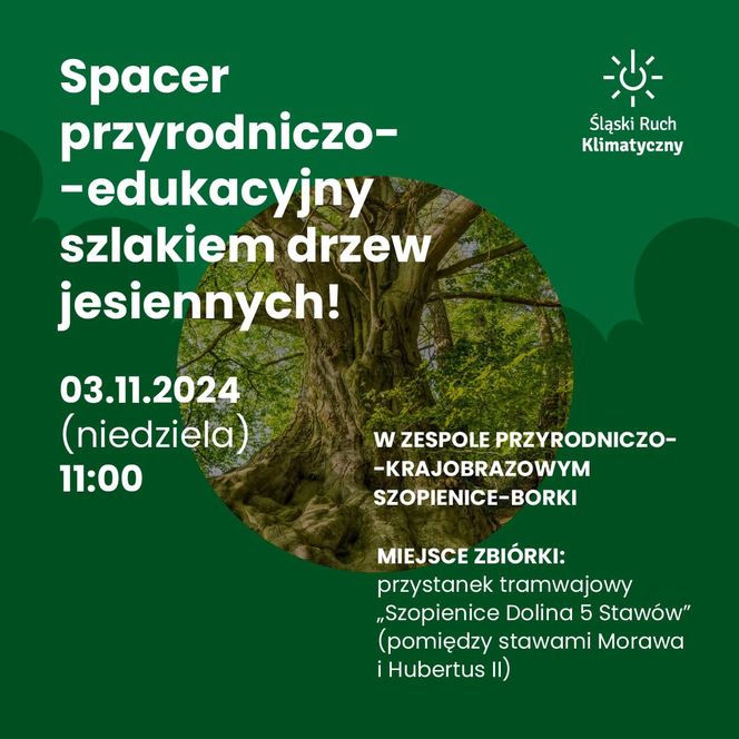  spacer przyrodniczy w ZPK 'Szopienice-Borki' - niedziela 3 listopada