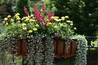 Balkon pod koniec lata