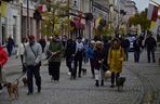 Wielki marsz adopciaków w Radomiu