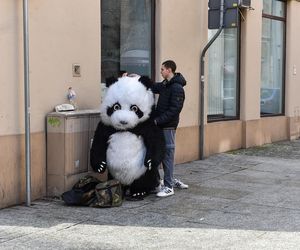 Zakopane ma Chytrego Misia, Toruń Wesołą Pandę, kulturalnie zaczepia turystów