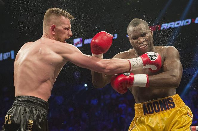 Andrzej Fonfara, Adonis Stevenson