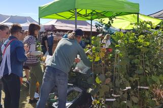 28. Jesienne Targi Rolnicze w Gryźlinach