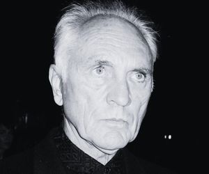 Zmarł brytyjski aktor Terence Stamp. Grał Generała Zoda w  Supermanie