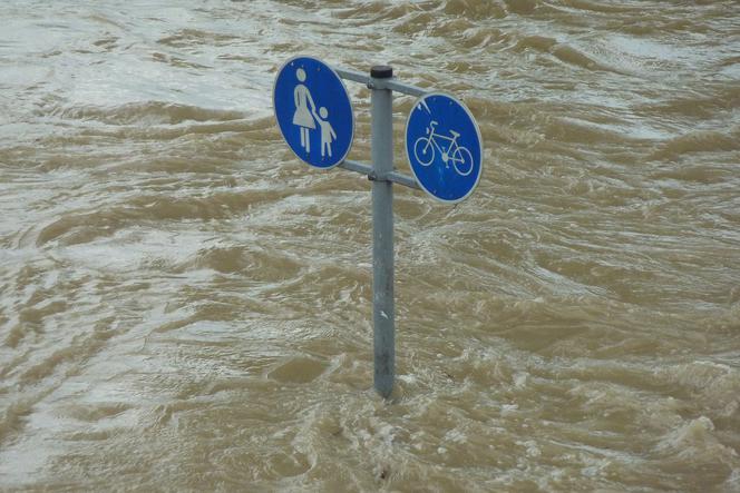 Śląsk: Rzeki przekroczyły STANY ALARMOWE! Niebezpiecznie na Odrze i Wiśle