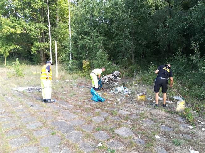 Sprzątanie dawnej plaży Mieleńskiej