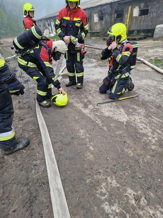 Ogromny pożar kurnika pod Olsztynem. W akcji udział brało aż 18 zastępów straży pożarnej [ZDJĘCIA]