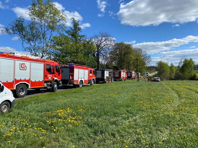 Wypadek busa pod Wejherowem