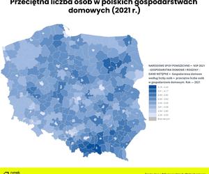 Gdzie w Polsce są największe rodziny? Najnowszy raport nie pozostawia złudzeń