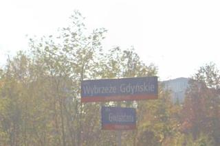 Czy wiesz, która ulica jest najdłuższa w Warszawie? Zestawienie 10 najdłuższych ulic w stolicy