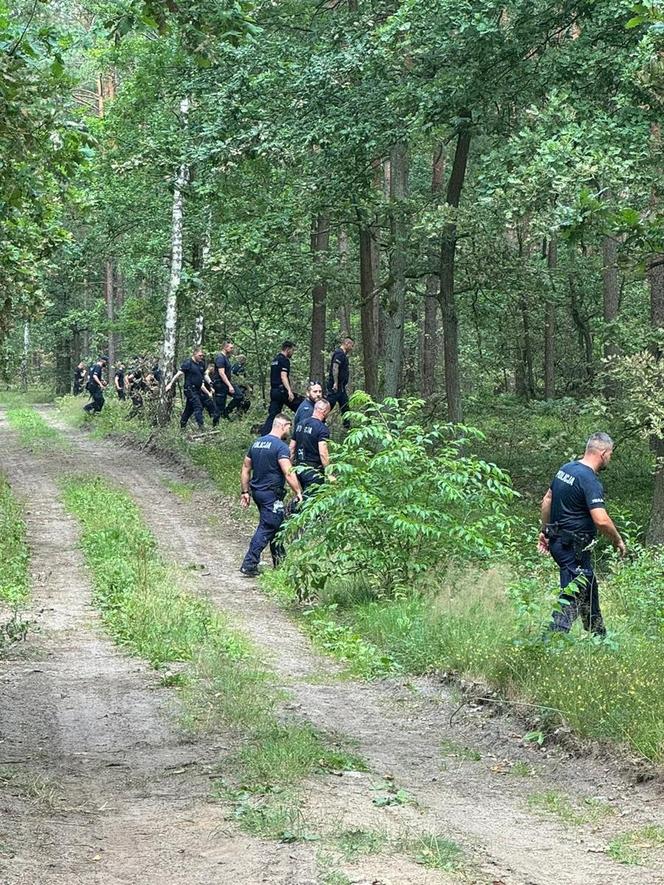 Tajemnicze zaginięcie 30-letniej Jowity. Kobieta wracała z pracy i zniknęła na leśnej drodze