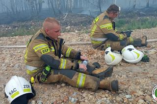 AKTUALIZACJA Dramatyczny pożar na Śląsku. Czy to podpalenie? Ogień strawił 60 ha lasu