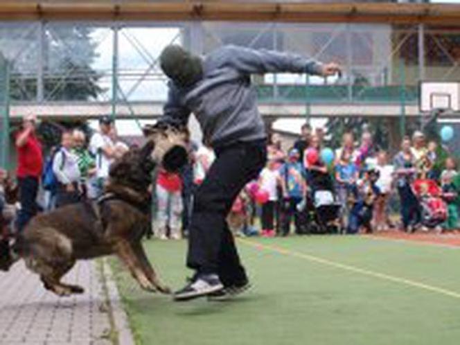 Tytan z Zawiercia przeszedł na emeryturę. Policjańci pożegnali czworonoga, który służył u nich 9 lat