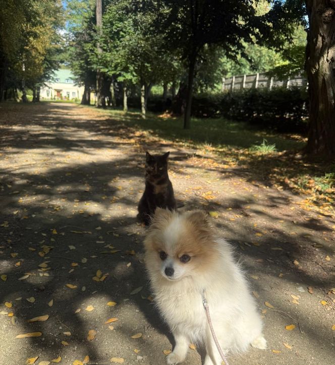 Daisy Najman, pies Marcina Najmana