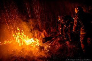 Pożar w Biebrzańskim Parku Narodowym
