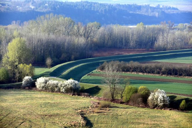 Janowiec nad Wisłą 