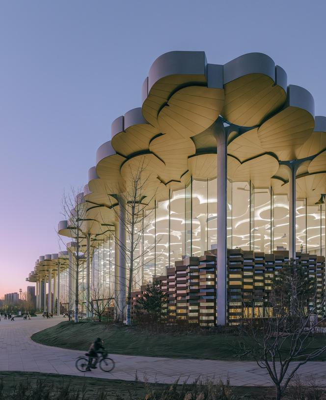 Snøhetta  - Biblioteka Miejska w Pekinie