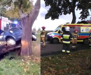 Lubieszewo: Wypadek osobówki. Kierowca trafił do szpitala [ZDJĘCIA]