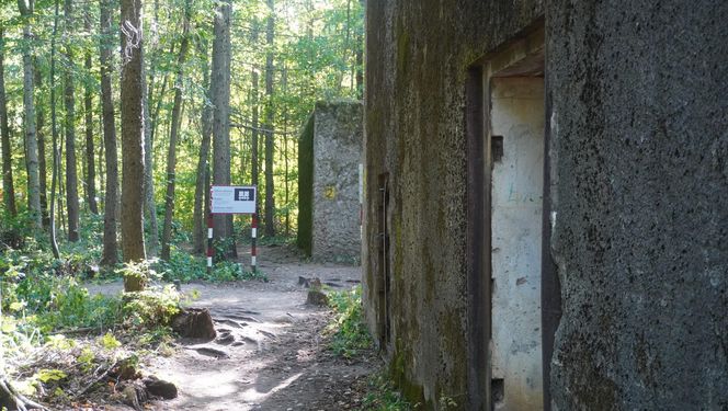 Bunkry na Mazurach wybudowane dla żołnierzy Wehrmachtu. To tu miała być ukryta Bursztynowa Komnata [ZDJĘCIA]