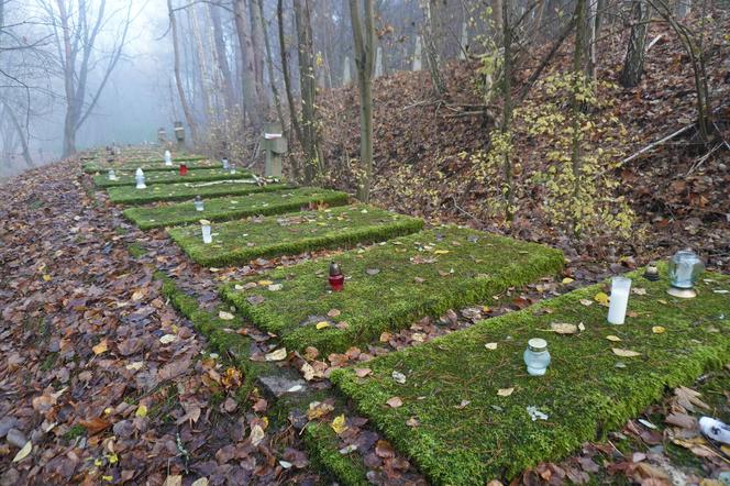 Byliśmy na Górze Czarownic w Fordonie. Na stosach spłonęły tu przynajmniej 72 kobiety [ZDJĘCIA]