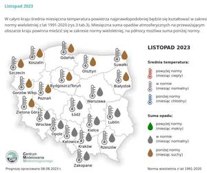 IMGW opublikowało długoterminową prognozę pogody. Jaka będzie tegoroczna zima w Polsce?