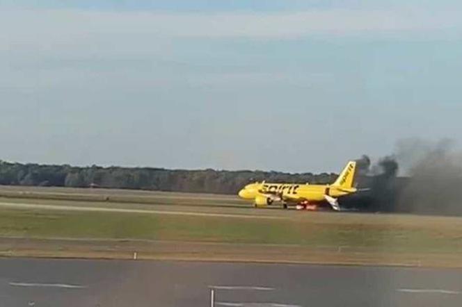 Dramatyczna akcja na lotnisku w New Jersey. Ptak uziemił samolot