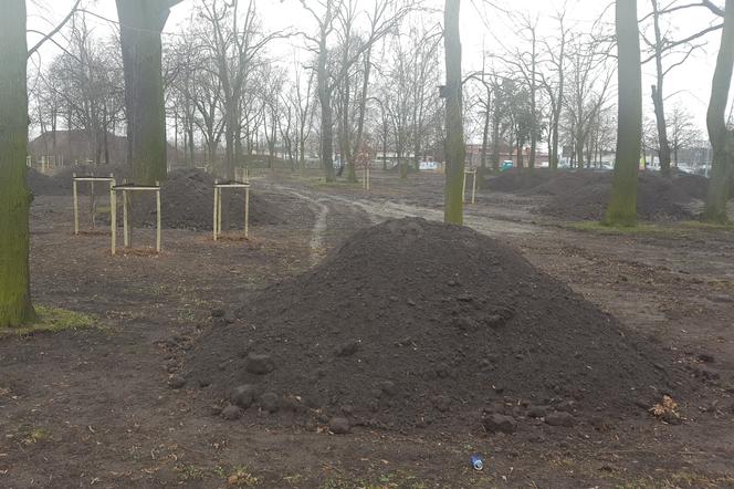 Tu na razie jest... Trwa modernizacja dwóch parków miejskich w Lesznie 
