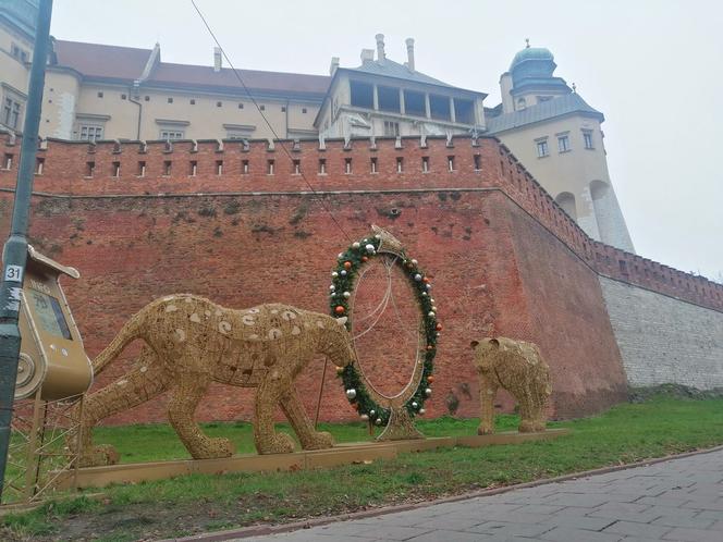 Świądeczne dekoracje w Krakowie