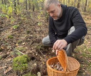 Adrian Zandberg sprawdza, czy grzyby są trujące