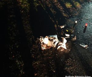 Bomba własnej konstrukcji eksplodowała pod domem! To nie był przypadek. To ustaliła policja z Jeleniej Góry [ZDJĘCIA]