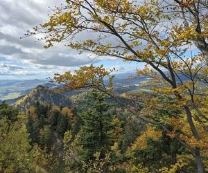 To jedno z najstarszych polskich uzdrowisk najpiękniej wygląda jesienią. Kurowali się w nim Sienkiewicz, Prus, Matejko i Konopnicka