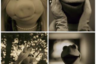 Miss Piggy i Kermit