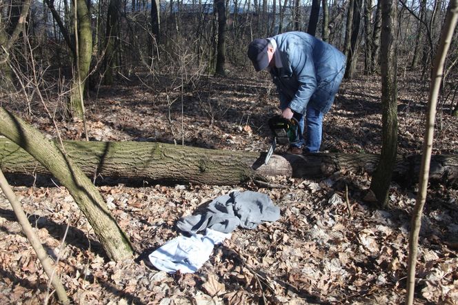 Jarka zabiło drzewo gdy porządkował las