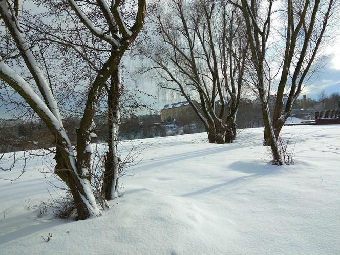 Śnieg zasypał Tarnów, teraz czas na mróz. Będzie PRZEŹLIWIE zimno