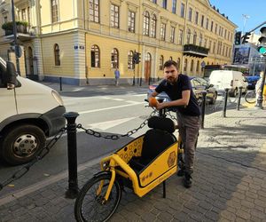 Nasz test rowerów cargo