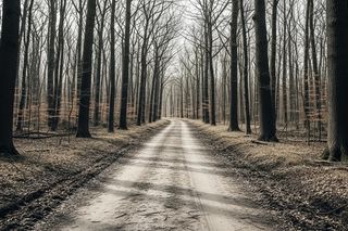 Niewybuch we Wrocławiu. Co odkryto przy największym cmentarzu?